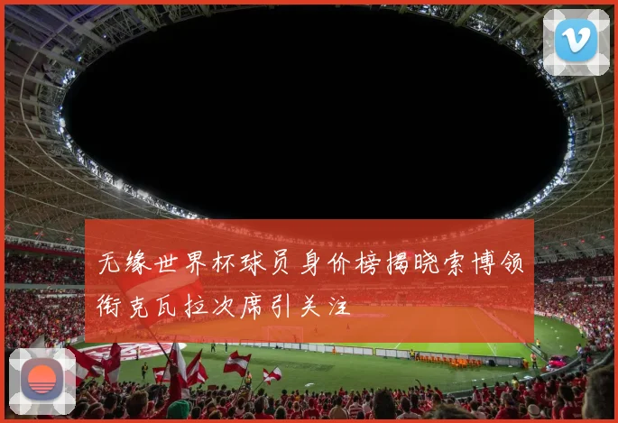 无缘世界杯球员身价榜揭晓索博领衔克瓦拉次席引关注