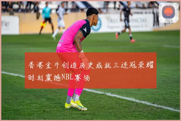 香港金牛创造历史成就三连冠荣耀时刻震撼NBL赛场